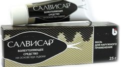 Салвисар